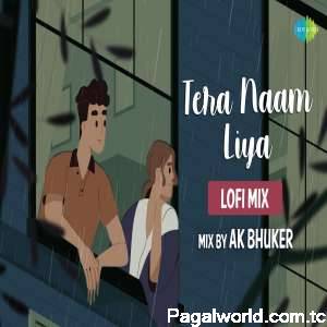 Tera Naam Liya LoFi Chill Mix