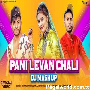 Pani Levan Chali DJ Mashup