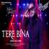 Tere Bina Cover