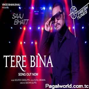 Tere Bina Cover