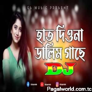 Hath Diona Dalim Gache Dj Remix