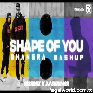 Shape of you Bhangra