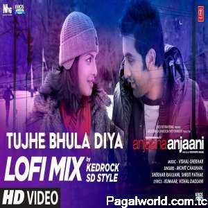 Tujhe Bhula Diya Lofi Mix