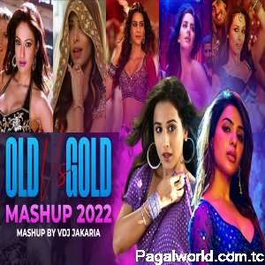 Old Vs Gold Party Mashup 2022