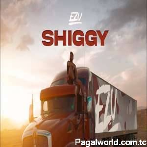 Shiggy