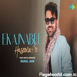 Ek Ajnabee Hasina Se Cover