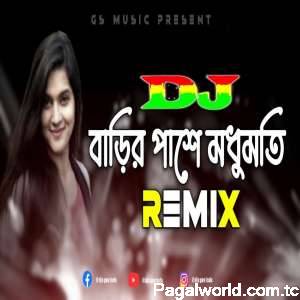 Barir Pashe Modhumoti Dj Remix