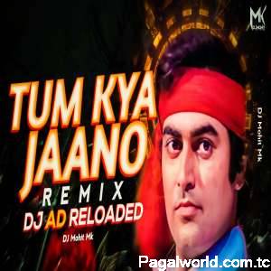 Tum kya Jano Mohabbat Kya Hai Dj Mix