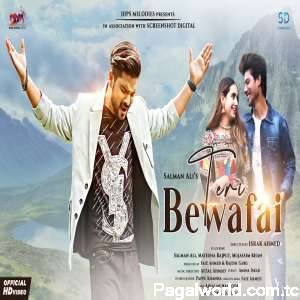 Teri Bewafai