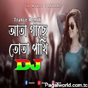 Aata Gache Tota Pakhi Trance Remix