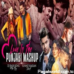 Love In The Punjabi Mashup 2022