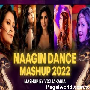 Naagin Dance Mashup 2022