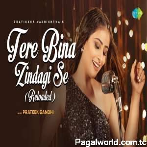 Tere Bina Zindagi Se (Reloaded)