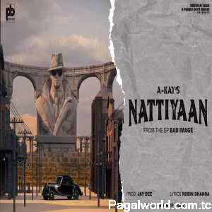 Nattiyaan