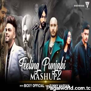 Feeling Punjabi Mashup 2