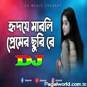 Hridoye Marli Premer Churi Re Dj Remix