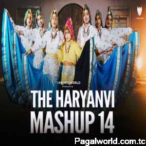 The Haryanvi Mashup 14