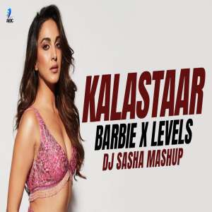 Kalastaar X Barbie X Levels Mashup DJ Sasha