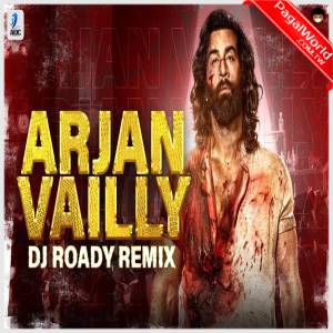 Arjan Vailly Remix - DJ Aaditya