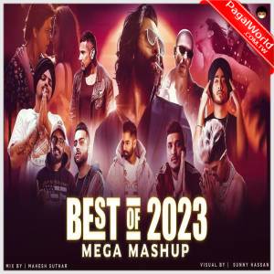 Best Of 2023 Mega Mashup