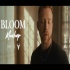 Bloom Mashup