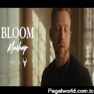 Bloom Mashup