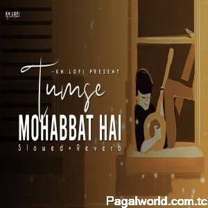 Tumse Mohabbat Hai Lofi