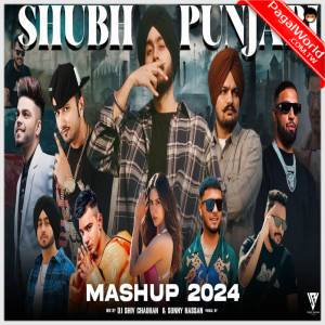 Shubh X Punjabi Mashup 2024 - Sunny Hassan