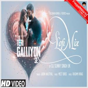 Teri Galliyon Se (Lofi Mix) - Dj Sunny Singh UK