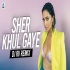 Sher Khul Gaye Remix - DJ RV