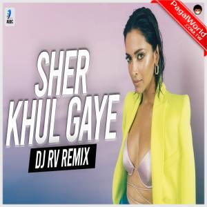 Sher Khul Gaye Remix - DJ RV