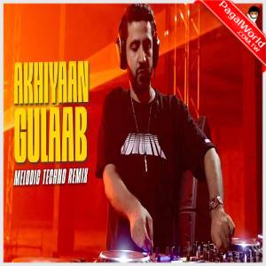 Akhiyaan Gulaab - Dj Nyk