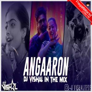 Angaaron Sa - Dj Vishal