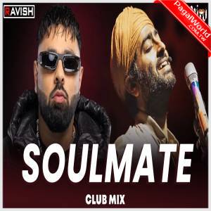 Soulmate Mix - DJ Ravish