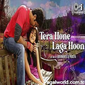 Tera Hone Laga Hoon