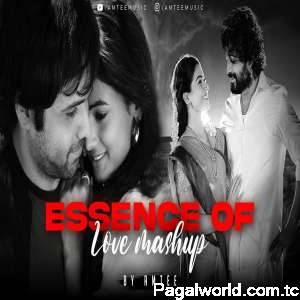 Essence of Love Mashup 5