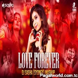 Love Forever Mashup