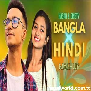 Bangla And Hindi Mashup