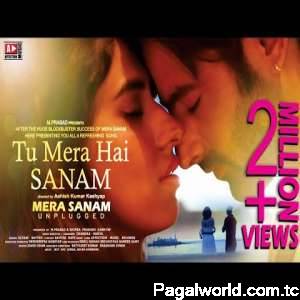 Tu Mera Hai Sanam