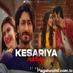 Kesariya Mashup