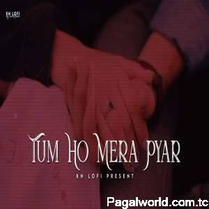 Tum Ho Mera Pyar