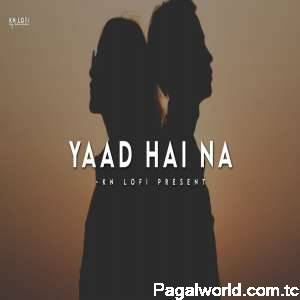 Yaad Hai Na Lofi