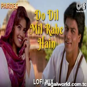 Do Dil Mil Rahe Hain