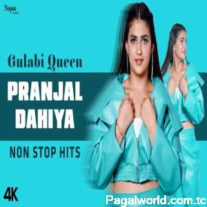 Pranjal Dahiya Hits Mashup