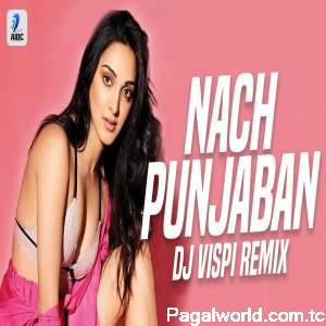 Nach Punjaban (Remix)