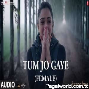 Tum Jo Gaye(Female Version)