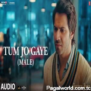 Tum Jo Gaye (Male Version)