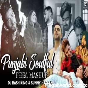 Punjabi Soulful - Feel Mashup 2022