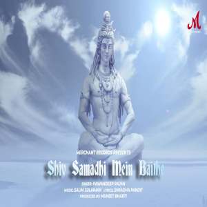 Shiv Samadhi Mein Baithe