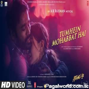 Tumhein Mohabbat Hai